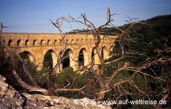 Pont du Gard, Frankreich, Brücke, Südfrankreich, Römer, Fluss, Baum, kahl