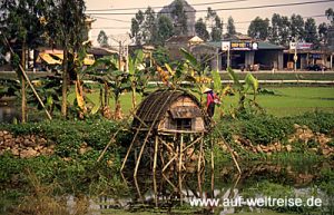 Vietnam Reis-Hütte